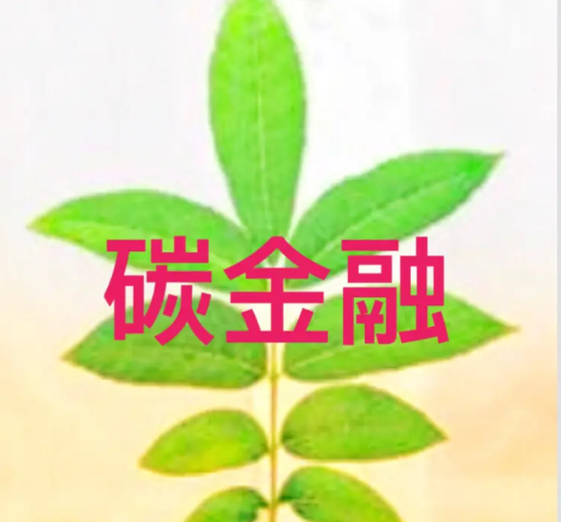 碳配额市场碳金融