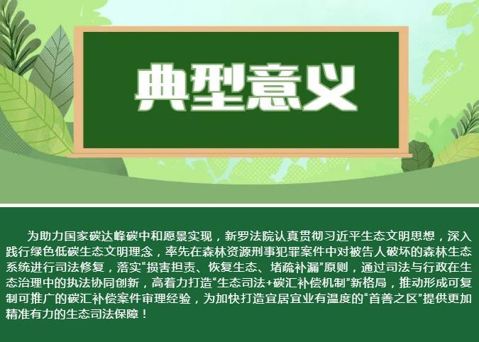 福建首例！这起森林碳汇补偿刑事案件，有何典型意义？