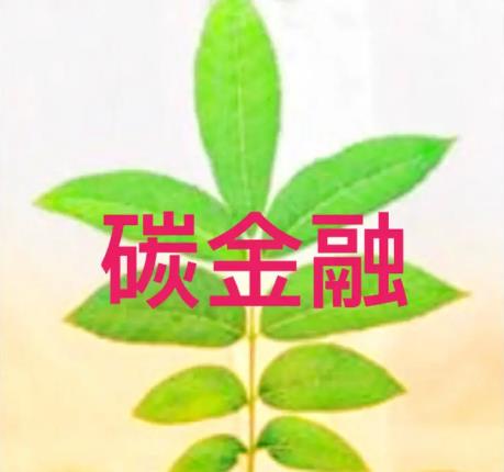 知识普及：碳金融