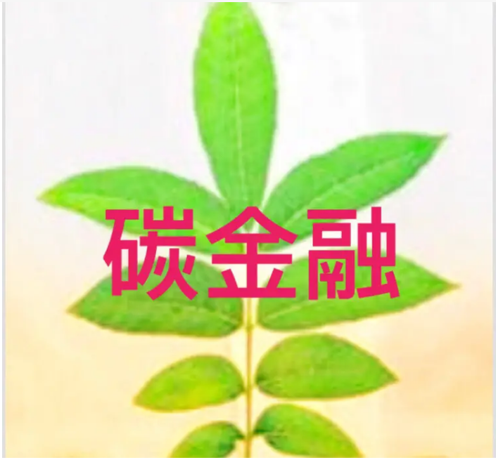 一文看懂碳金融体系