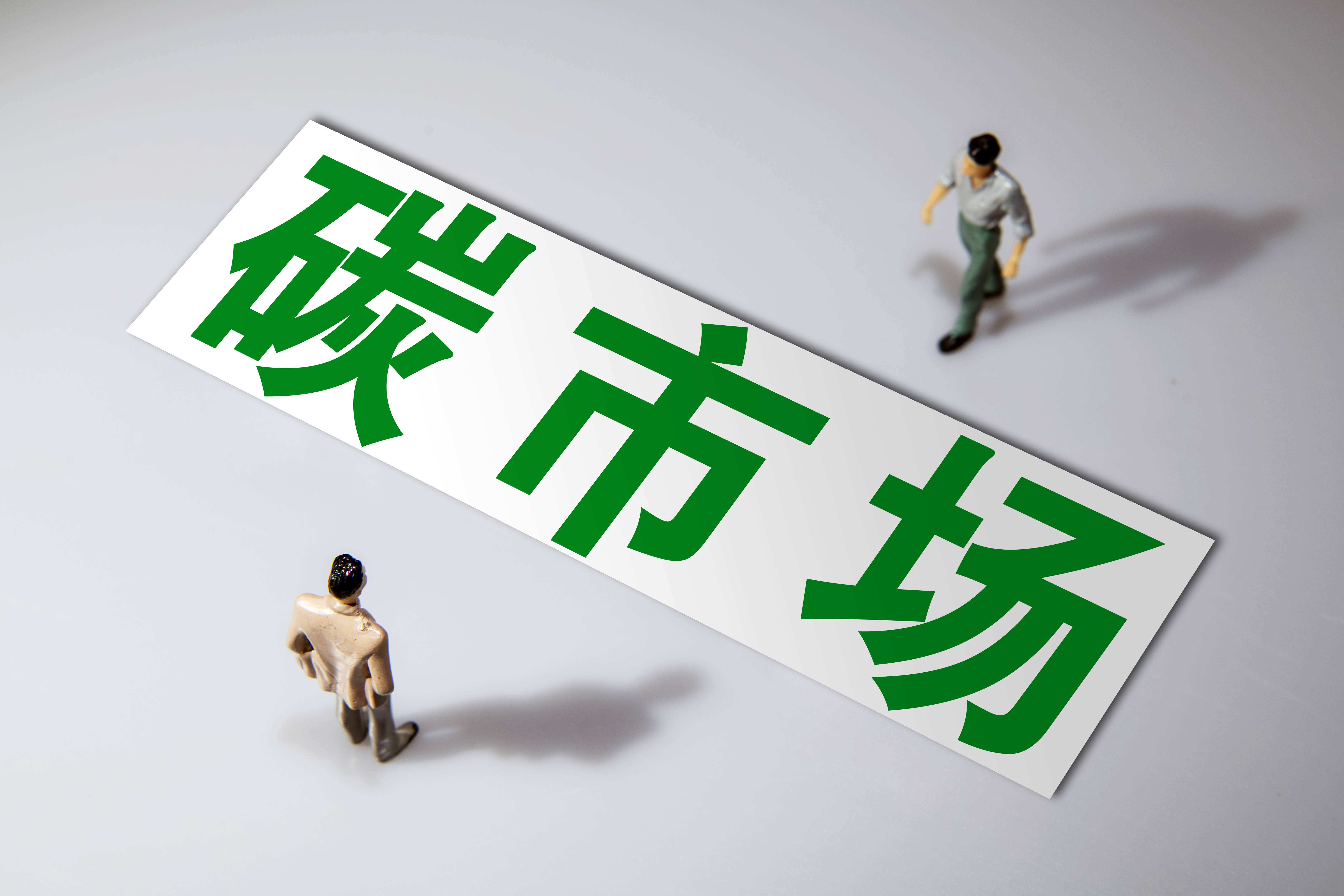 什么是碳市场?