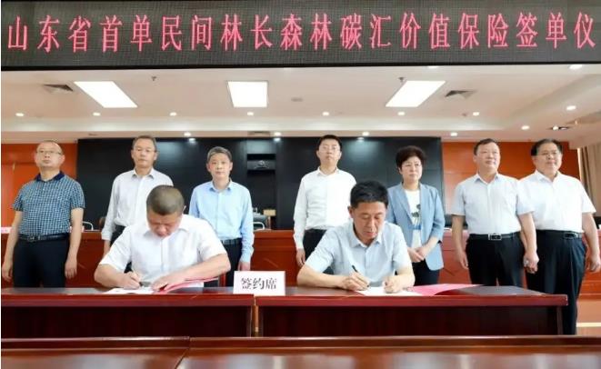 山东首单民间林长森林碳汇价值保险签单